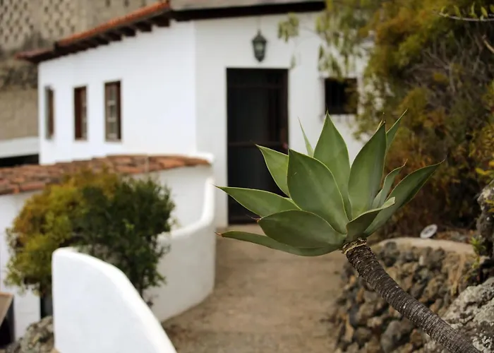 Bella Vista - Tabaiba * Icod De Los Vinos