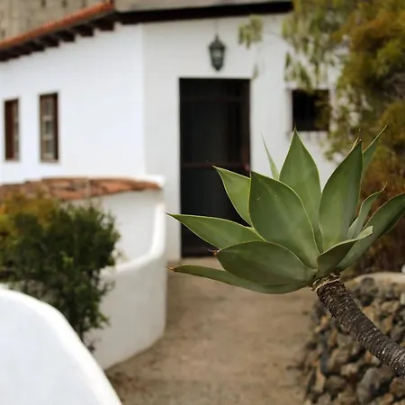 Bella Vista - Tabaiba * Icod De Los Vinos