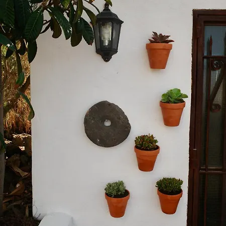 Bella Vista - Tabaiba Dom wakacyjny Icod De Los Vinos